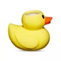 Molded Duck Shot Glass - 2 oz. at Spencer's