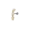 White Teeth Crawler Cartilage Barbell at Spencer's