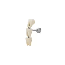 White Teeth Crawler Cartilage Barbell at Spencer's