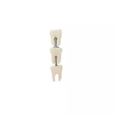White Teeth Crawler Cartilage Barbell at Spencer's