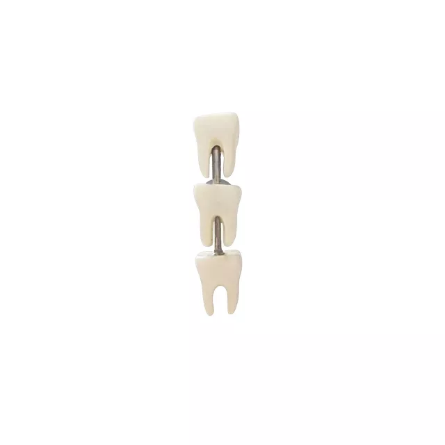 White Teeth Crawler Cartilage Barbell at Spencer's