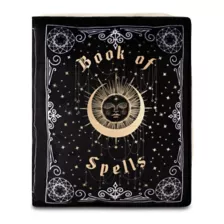 Book of Spells Pillow at Spencer's