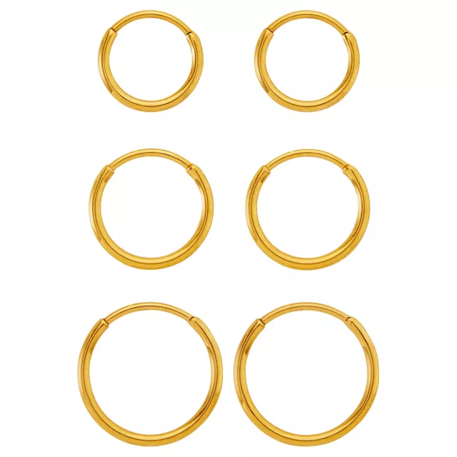 Multi-Pack Goldtone Titanium Graduated Size Hoop Earrings - 3 Pair at Spencer's