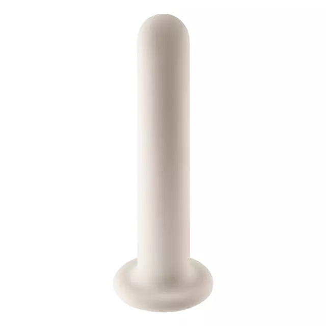 Empower Brief Style Harness with 5 Inch Dildo – Phluid