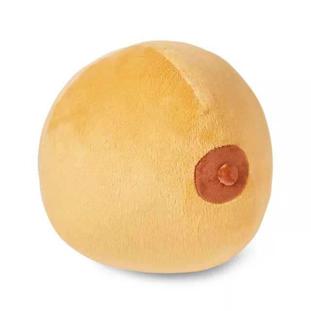 Boob Pillow at Spencer's