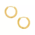 Goldtone Titanium Hoop Earrings at Spencer's