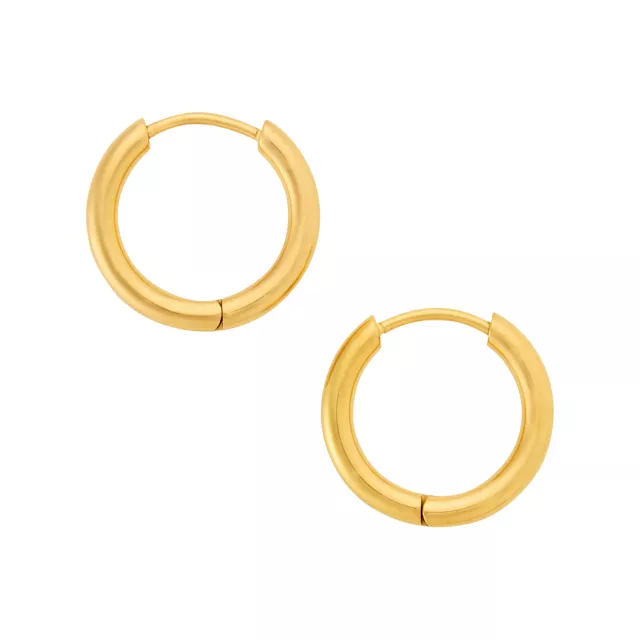 Goldtone Titanium Hoop Earrings at Spencer's