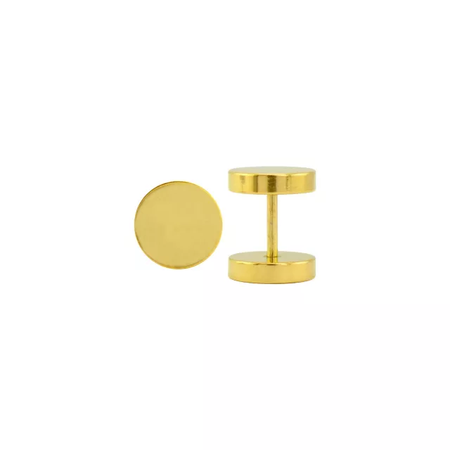 Titanium Goldtone Fake Plugs - 18 Gauge at Spencer's