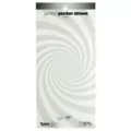 Jumbo Pecker Straws - 6 Pack at Spencer's