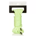 Glow in the Dark Rope - 16 Feet at Spencer's