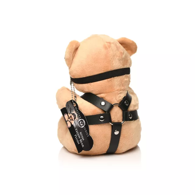 BDSM Teddy Bear Plush at Spencer's