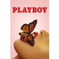 Playboy Butterfly Poster at Spencer's