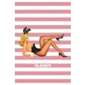 Playboy Bunny Stripe Poster at Spencer's