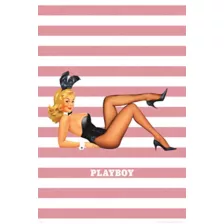 Playboy Bunny Stripe Poster at Spencer's