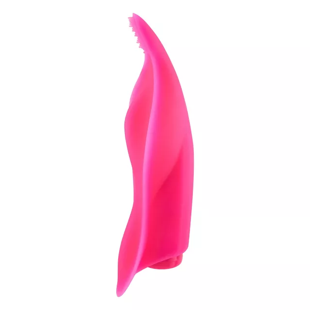 Hot Licks 10-Function Remote Control Vibrator - Hott Love Extreme at Spencer's
