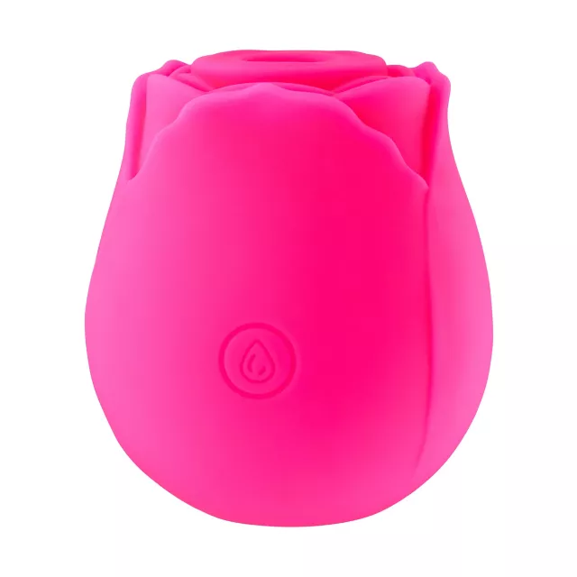 Rosé All Day 10-Function Rechargeable Clitoral Massager 2.6 Inch - Hott Love