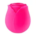 Rosé All Day 10-Function Rechargeable Clitoral Massager 2.6 Inch - Hott Love at Spencer's