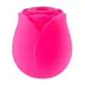 Rosé All Day 10-Function Rechargeable Clitoral Massager 2.6 Inch - Hott Love at Spencer's