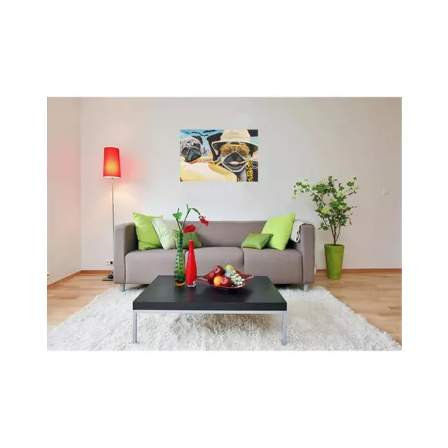 Driving Pugs Poster at Spencer's