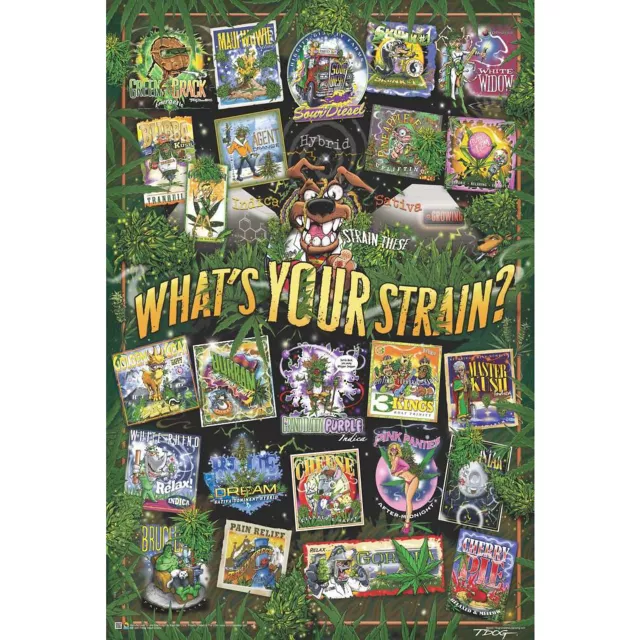 What's Your Strain Poster at Spencer's