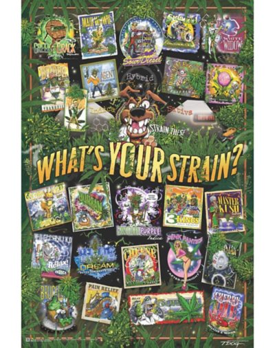 What's Your Strain Poster