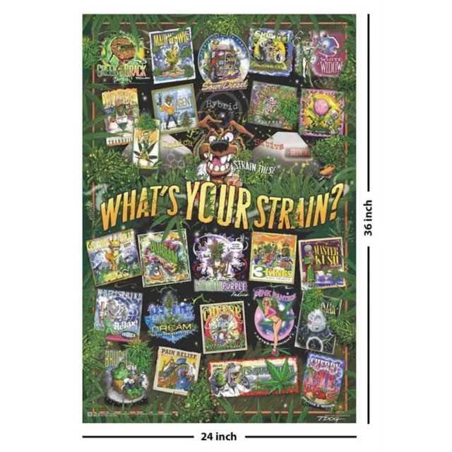 What's Your Strain Poster at Spencer's