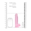 Pink Realistic Suction Cup Dildo with Balls - 6.7 Inch at Spencer's