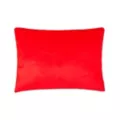 Flamin' Hot Cheetos Fleece Blanket and Plush Set at Spencer's