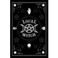 Local Witch Poster at Spencer's