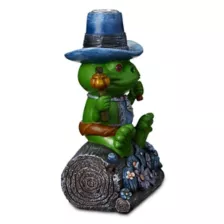 Mystic Frog Dual Function Backflow Incense Burner at Spencer's