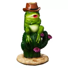 Western Frog Backflow Incense Burner at Spencer's