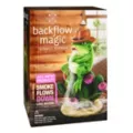 Western Frog Backflow Incense Burner at Spencer's