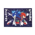 Sonic the Hedgehog Tapestry at Spencer's