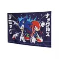 Sonic the Hedgehog Tapestry at Spencer's