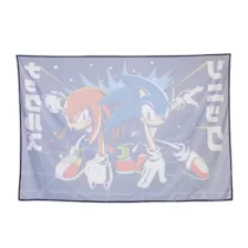Sonic the Hedgehog Tapestry at Spencer's