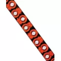 Buckle-Down Kenny Seatbelt Belt - South Park at Spencer's