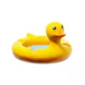 Duck Float Molded Ashtray at Spencer's