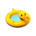 Duck Float Molded Ashtray at Spencer's