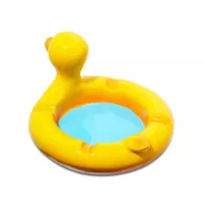 Duck Float Molded Ashtray at Spencer's