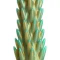 Creature Cocks Stegosaurus Spiky Reptile Dildo - 7.6 Inch at Spencer's