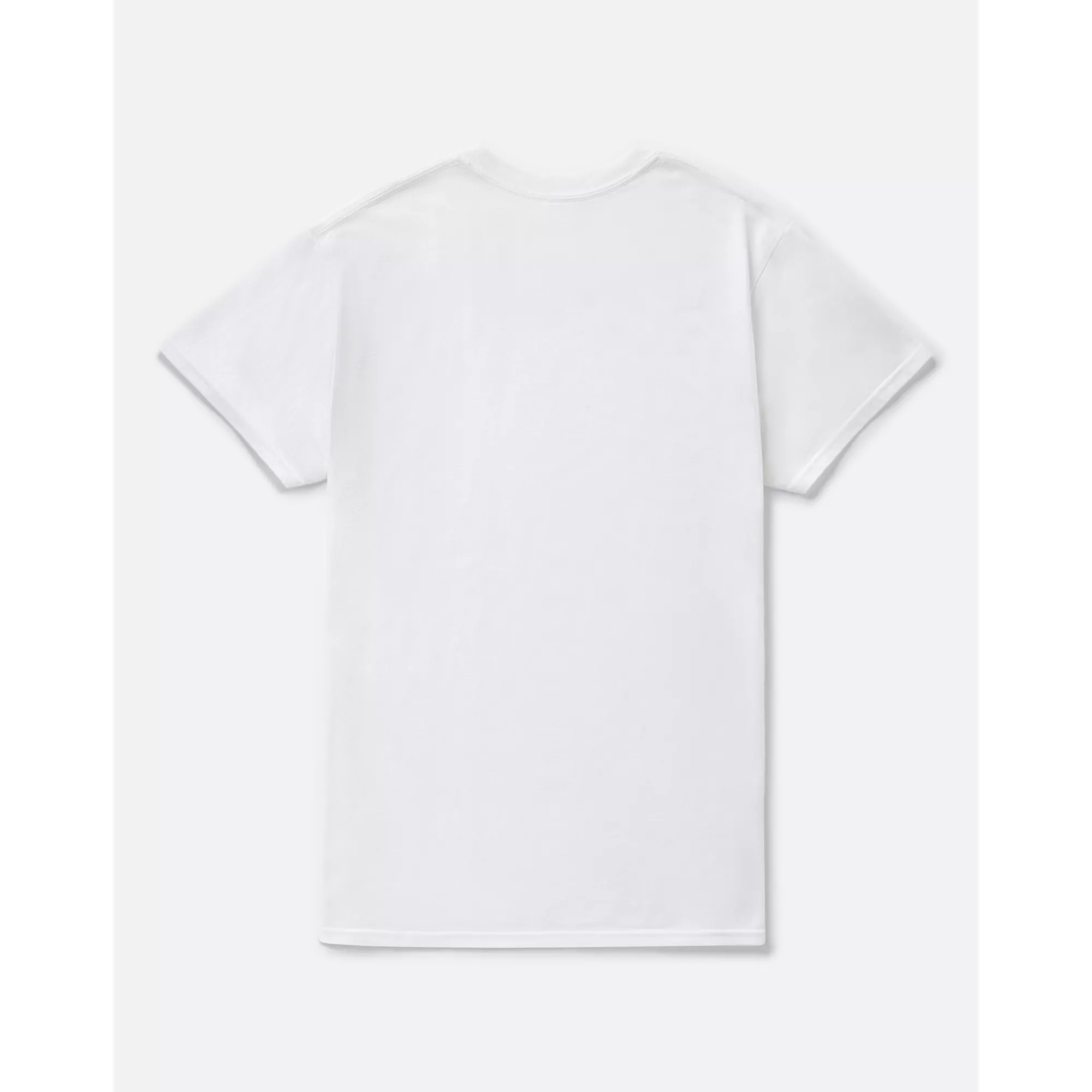 American Jesus Pledge T Shirt - Nessa Barrett at Spencer's