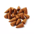 Caterpillar Backflow Incense Cones 20 Count - Alice in Wonderland at Spencer's