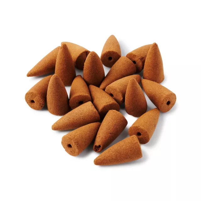 Caterpillar Backflow Incense Cones 20 Count - Alice in Wonderland at Spencer's