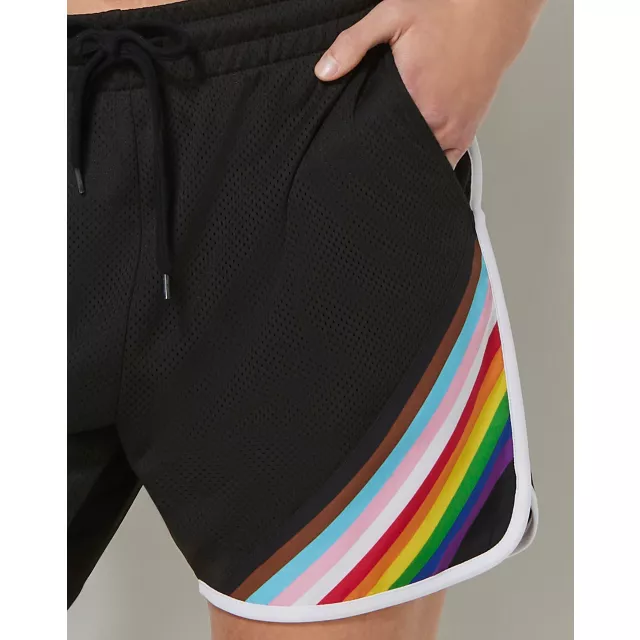 Pride Progress Flag Colors Striped Shorts at Spencer's