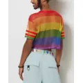 Rainbow Pride Mesh Crop Jersey at Spencer's