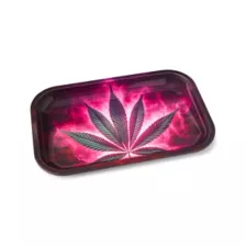 Neon Pink Weed Leaf Tray with Lid at Spencer's