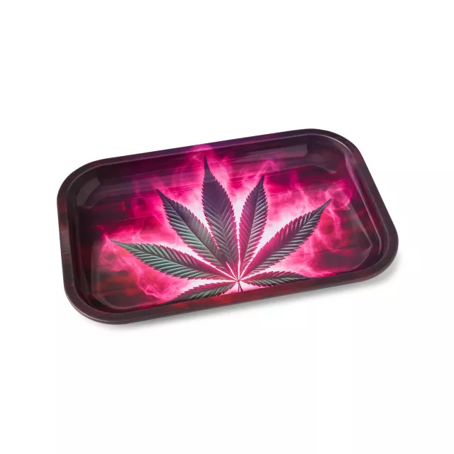 Neon Pink Weed Leaf Tray with Lid at Spencer's