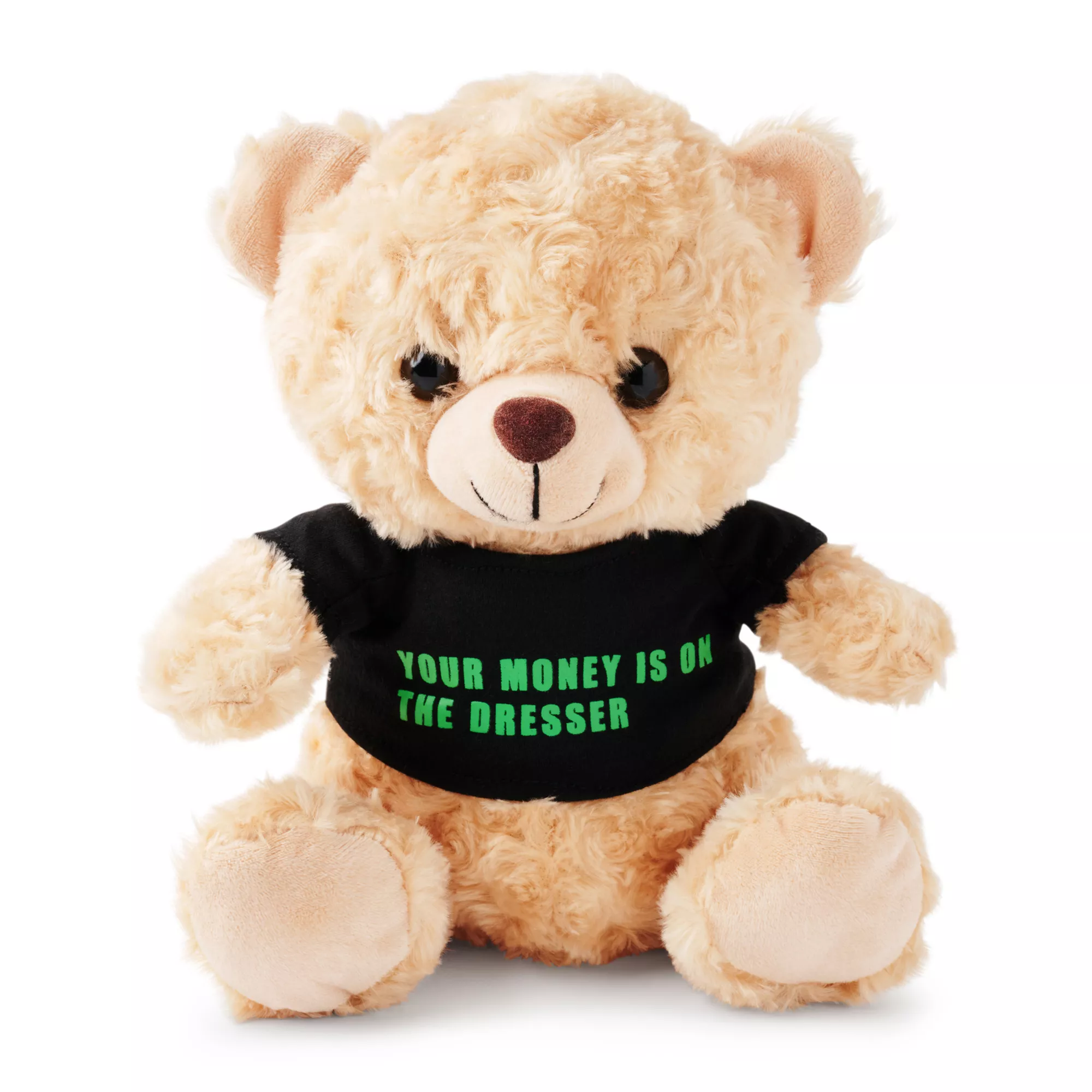 Your Money Is On The Dresser Teddy Bear at Spencer's