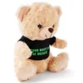 Your Money Is On The Dresser Teddy Bear at Spencer's
