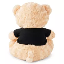Your Money Is On The Dresser Teddy Bear at Spencer's